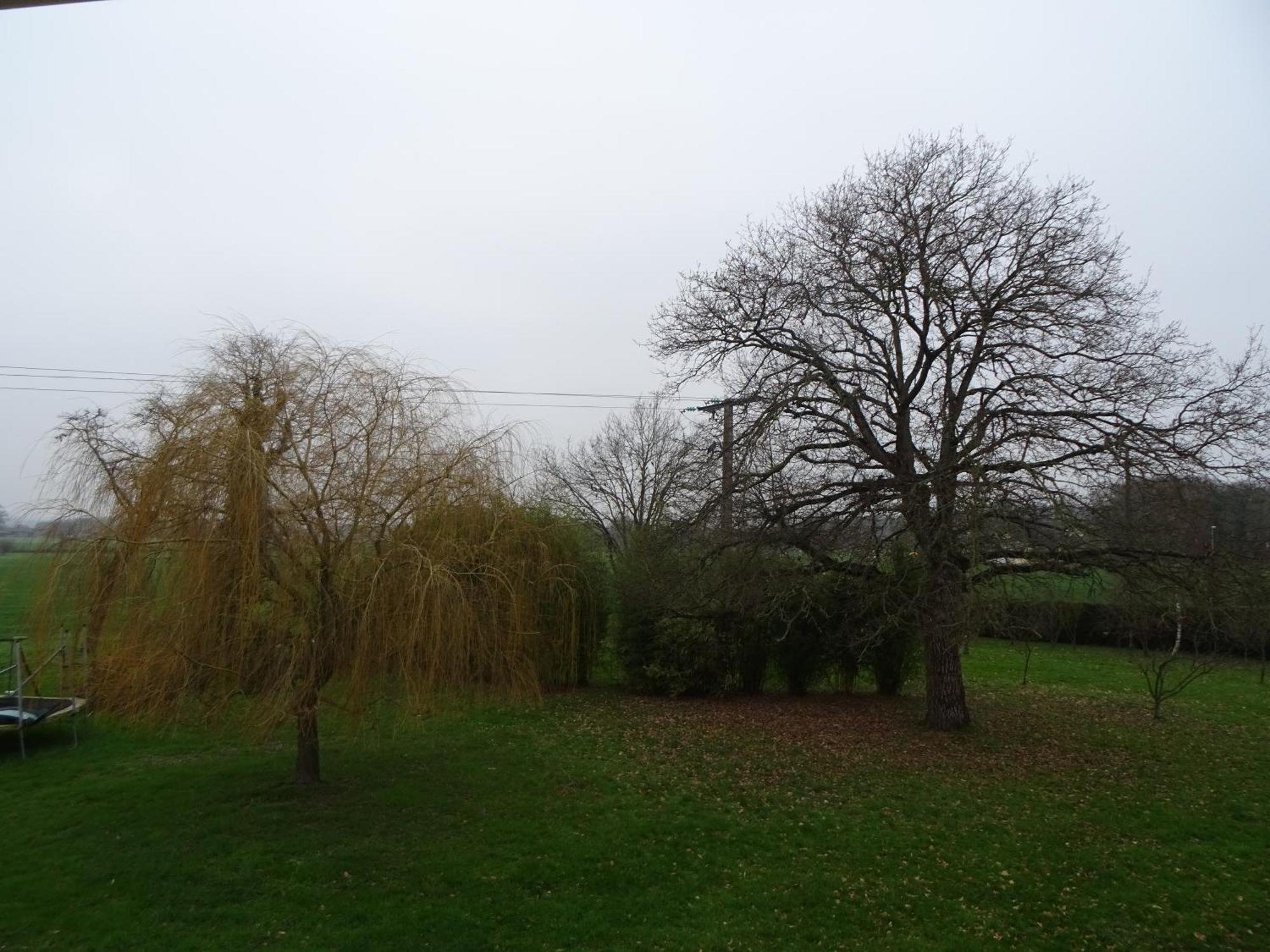 Cafecouet'Breizh Bed & Breakfast Guipry-Messac Bagian luar foto